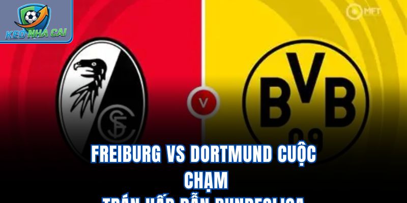 Freiburg vs Dortmund - Cuộc Chạm Trán Hấp Dẫn Bundesliga
