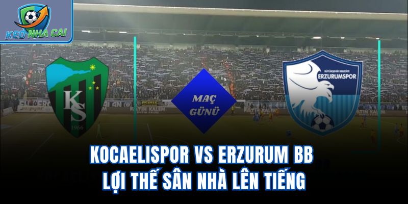 Kocaelispor Vs Erzurum BB - Lợi Thế Sân Nhà Lên Tiếng
