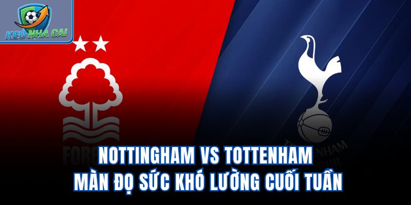 Nottingham vs Tottenham - Màn Đọ Sức Khó Lường Cuối Tuần